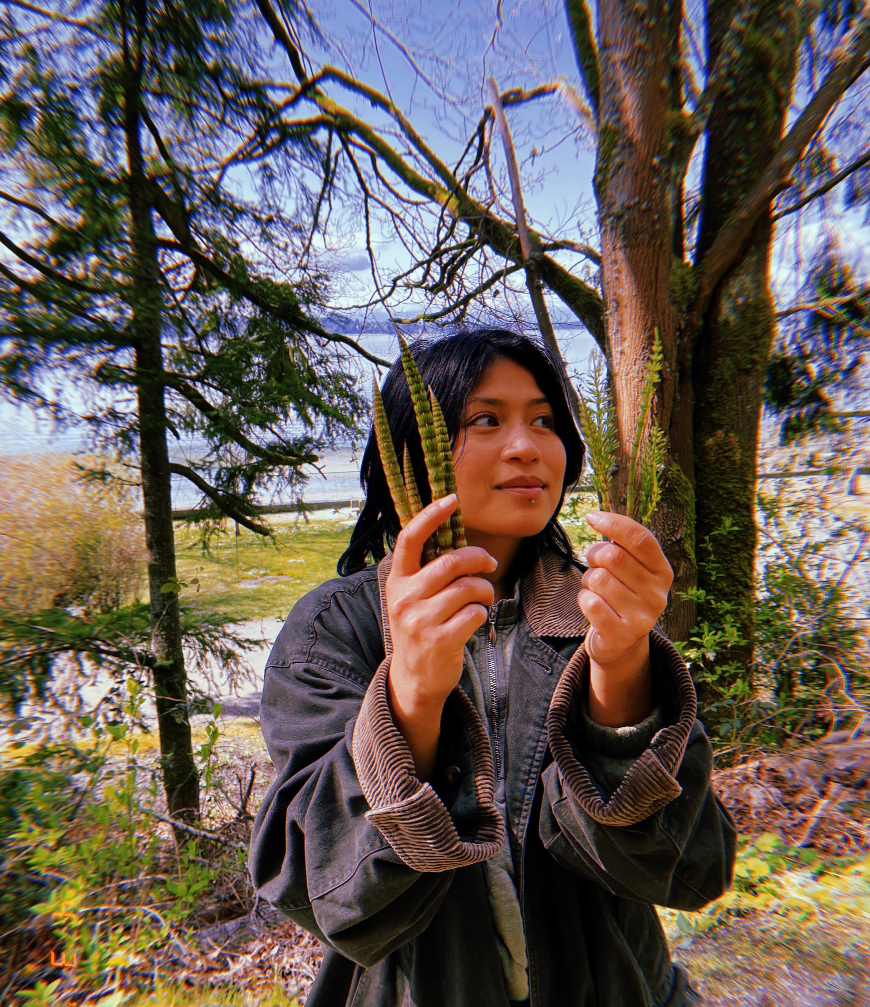 Daneca (Thalay) Trần